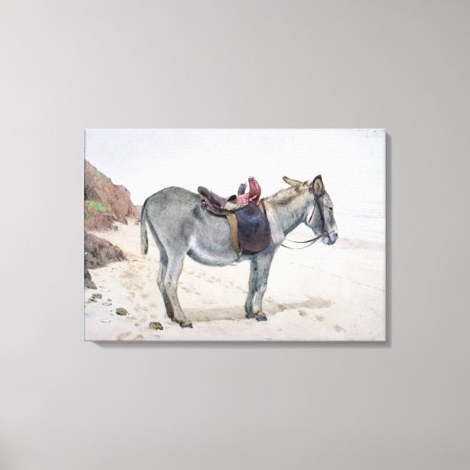 Toile Études sur les animaux (Recto)