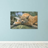 Toile Europ �_ischer Luchs, Eurasischer Luchs (Lynx) (Insitu (Plancher de Bois))