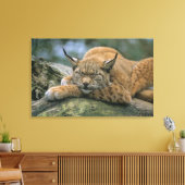 Toile Europ �_ischer Luchs, Eurasischer Luchs (Lynx) (Insitu(Salon))