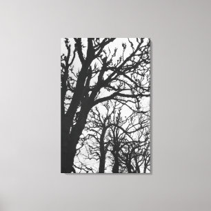 Toile Europe, France, Paris. Arbres d'hiver, Marco