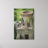 Europe, Irlande, château de Blarney. CETTE IMAGE