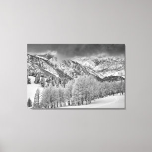 Toile Evergreens et Aspen dans une tempête de neige