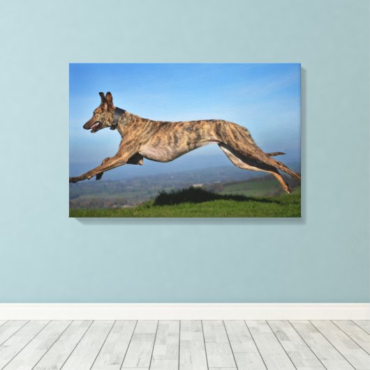 Toile Exécution de Lurcher brodé (Insitu (Plancher de Bois))