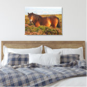 Toile Exmoor pony, cheval, Somerset, Angleterre (Insitu(Chambre))