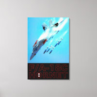 F/A-18C HORNET 24x36
