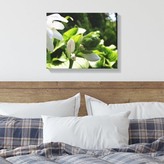 Toile Fabulous Hosta (Insitu(Chambre))