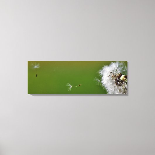 Toile Fais un voeu ! (Recto)