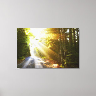 Toile Faisceaux de Sun par la forêt en parc national
