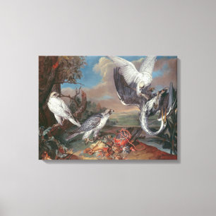 Toile Falcons Cyr du Groenland