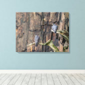 Toile Falcons pèlerins Sur Les Rochers (Insitu (Plancher de Bois))