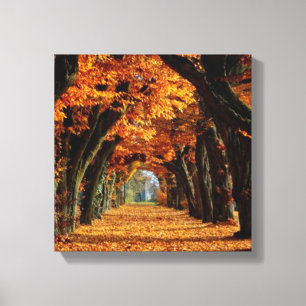 Toile Fall Country Road