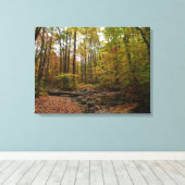 Toile Fall Creek à Laurel Hill State Park Pennsylvania (Insitu (Plancher de Bois))