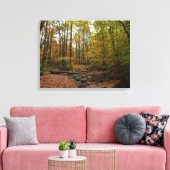 Toile Fall Creek à Laurel Hill State Park Pennsylvania (Insitu(Salon))