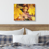 Toile Fallen Maple Feuille Jaune Automne Nature (Insitu(Chambre))