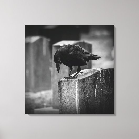 Toile Falln Cemetery Crow (Recto)