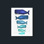 Toile Famille Blue Whale<br><div class="desc">Famille de Baleine Bleue par Fab Funky. Propose des baleines de tailles et de couleurs différentes avec une page de livre pour un arrière - plan.|191846D</div>