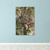 Toile Famille de marmousets singes (Insitu (Plancher de Bois))