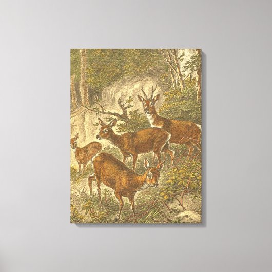 Toile Famille de Roe - Cerfs dans une forêt (Recto)