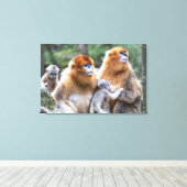 Toile Famille de singes à nez doré (Insitu (Plancher de Bois))