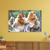 Toile Famille de singes à nez doré (Insitu(Salon))