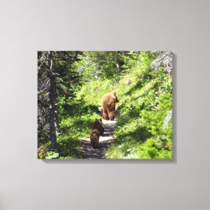 Toile Famille d'ours brun