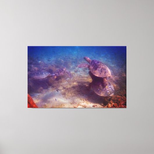 Toile Famille Green Sea Turtle (Recto)