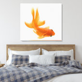 Toile Fantail (Carassius auratus) 2 (Insitu(Chambre))