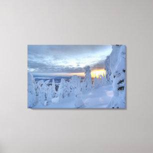Toile Fantômes de neige au coucher du soleil à Whitefish