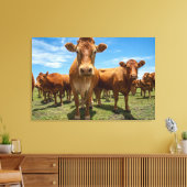 Toile Farms | Brown Cow Group (Insitu(Salon))
