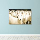 Toile Farms | Herd of Sheep (Insitu (Plancher de Bois))