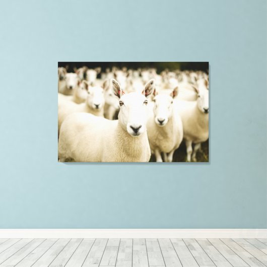 Toile Farms | Herd of Sheep (Insitu (Plancher de Bois))
