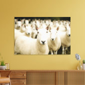Toile Farms | Herd of Sheep (Insitu(Salon))
