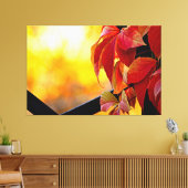 Toile Fascinant feuilles de vigne rouge dans le jardin d (Insitu(Salon))