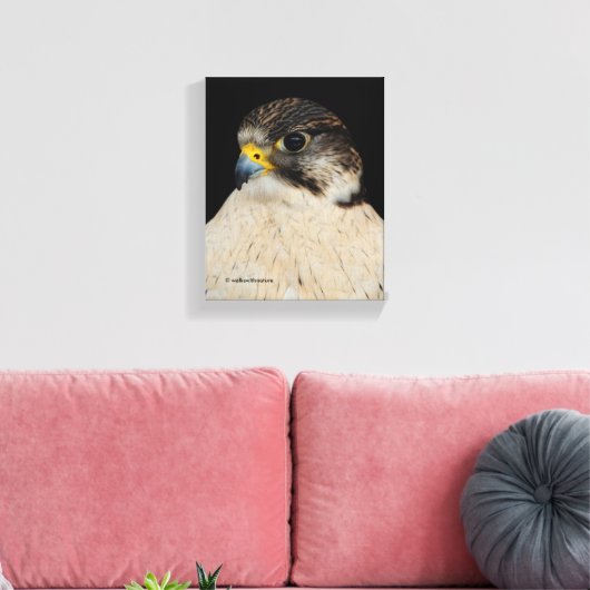 Toile Faucon hybride Saker Gyrfalcon (Insitu(Salon))