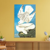 Toile Faucons gerfauts, alias Gerfalcons par John James  (Insitu(Salon))