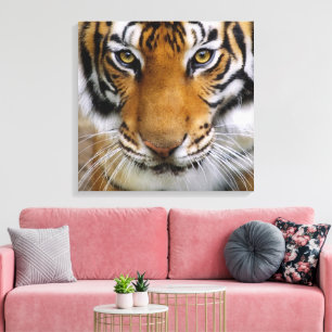 Toile Faune Beau Tigre Piercing Brown yeux