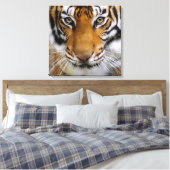 Toile Faune Beau Tigre Piercing Brown yeux (Insitu(Chambre))