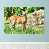 Toile Faune localisée (Insitu (Plancher de Bois))