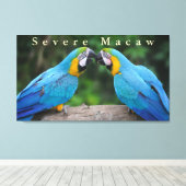Toile Faune Sévère Macaw Assis sur une branche (Insitu (Plancher de Bois))