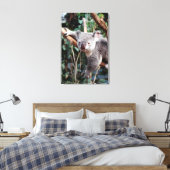 Toile Featherdale Wildlife Park, Koala Bears (Insitu(Chambre))
