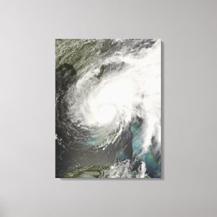 Toile Fée tropicale de tempête