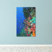 Toile Fées basslets banc (Pseudanthias (Insitu (Plancher de Bois))