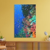Toile Fées basslets banc (Pseudanthias (Insitu(Salon))