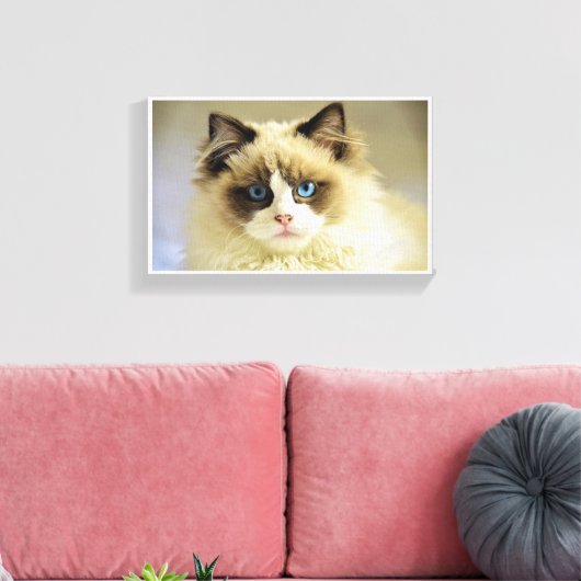 Toile Feline (Insitu(Salon))