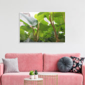 Toile Fenêtre (Insitu(Salon))