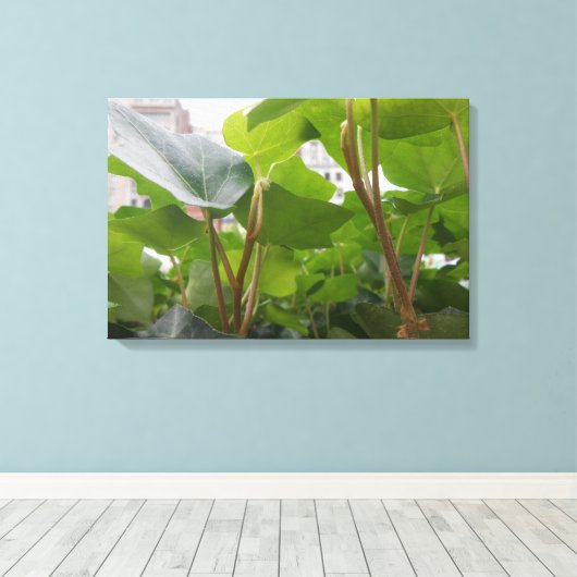 Toile Fenêtre (Insitu (Plancher de Bois))