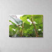 Toile Fenêtre (Recto)