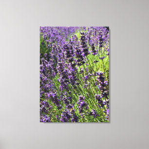 Toile Ferme de Lavender