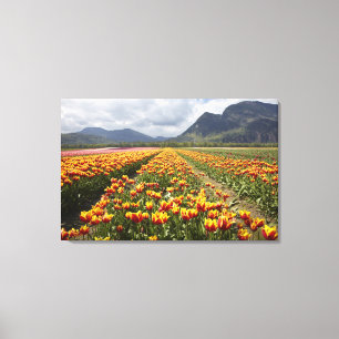 Toile Ferme de tulipes près d'Agassiz, Colombie-Britanni