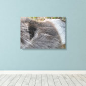 Toile Fermer l'âne - Haut du visage (Insitu (Plancher de Bois))